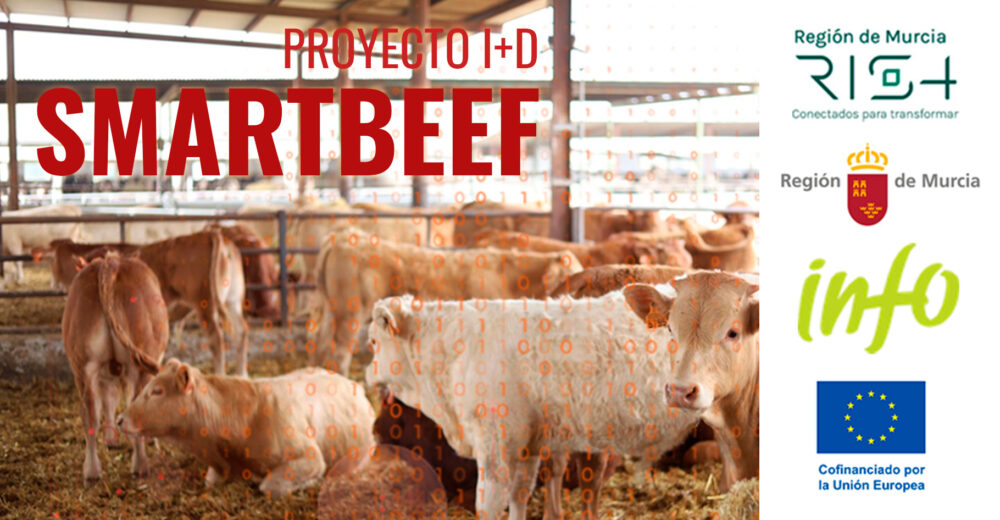 GESPROGA SOLUCIONES se suma al proyecto SMARTBEEF para avanzar en la ganadería de precisión